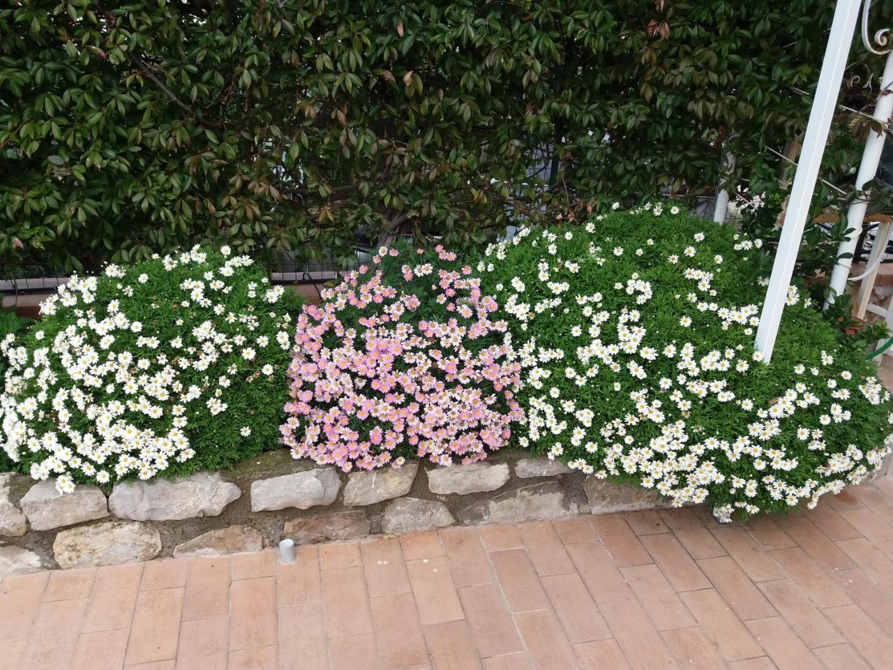 Bed and Breakfast Garden On The Sea Vico Equense Exterior foto